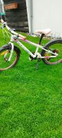 Kinder Velo  Cube 20 Zoll