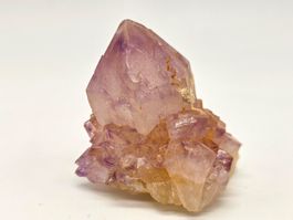 CACTUS QUARTZ Variety: amethyst , Mpumalanga, South Africa