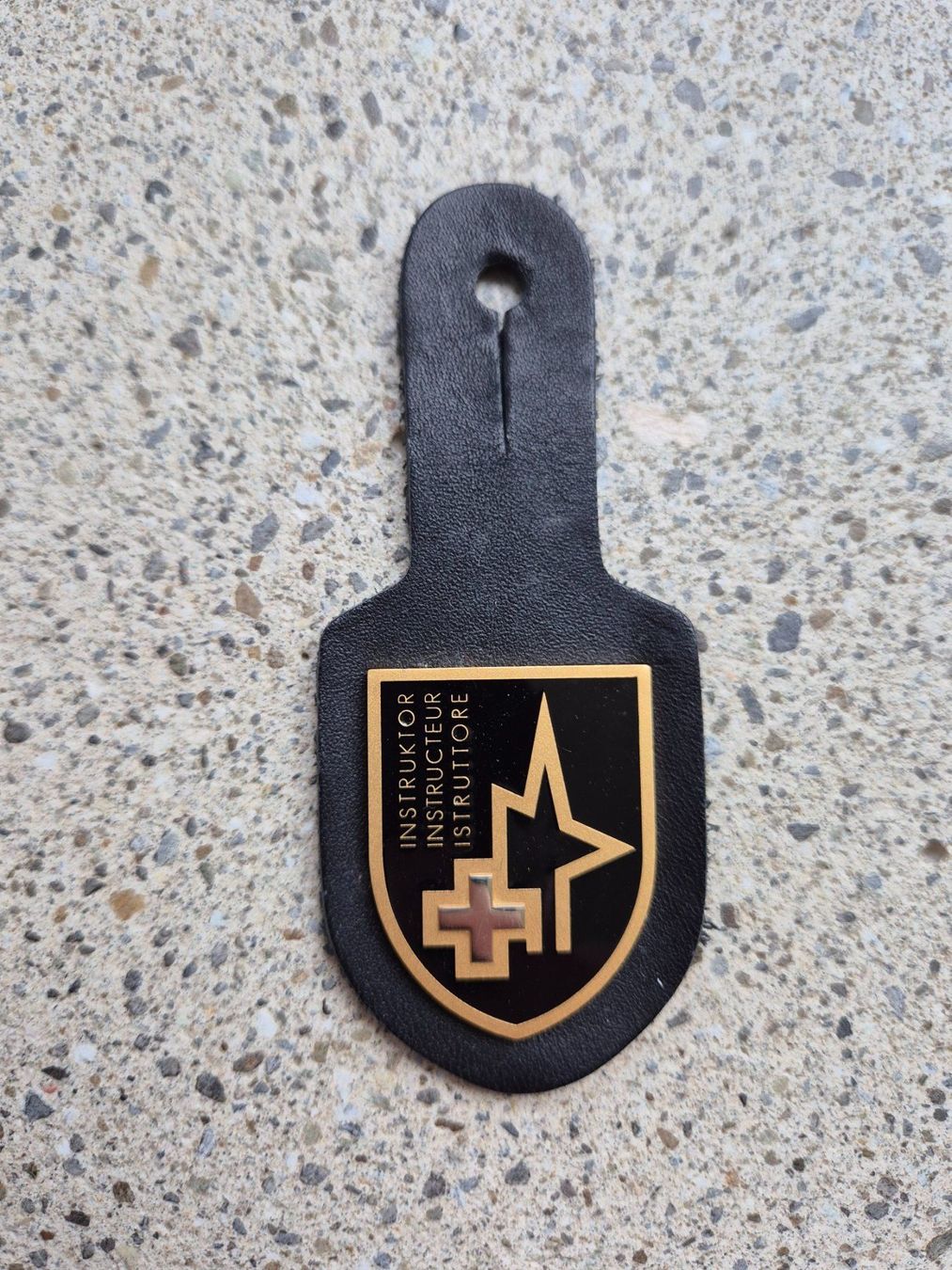 Schweizer Armee Placchette & Badge: *** Brustanhänger Instruktor *** – Usato da Riedholz venduto da fr_sIruP