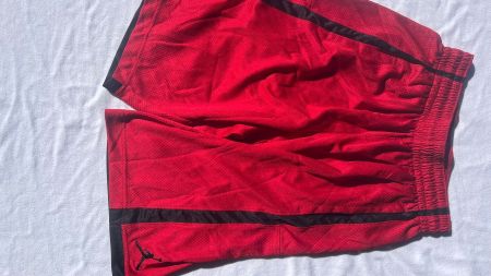 Men's Mesh Shorts von Jordan