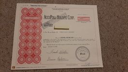 Aktie AccuPoll Holding corp., Nevada, USA
