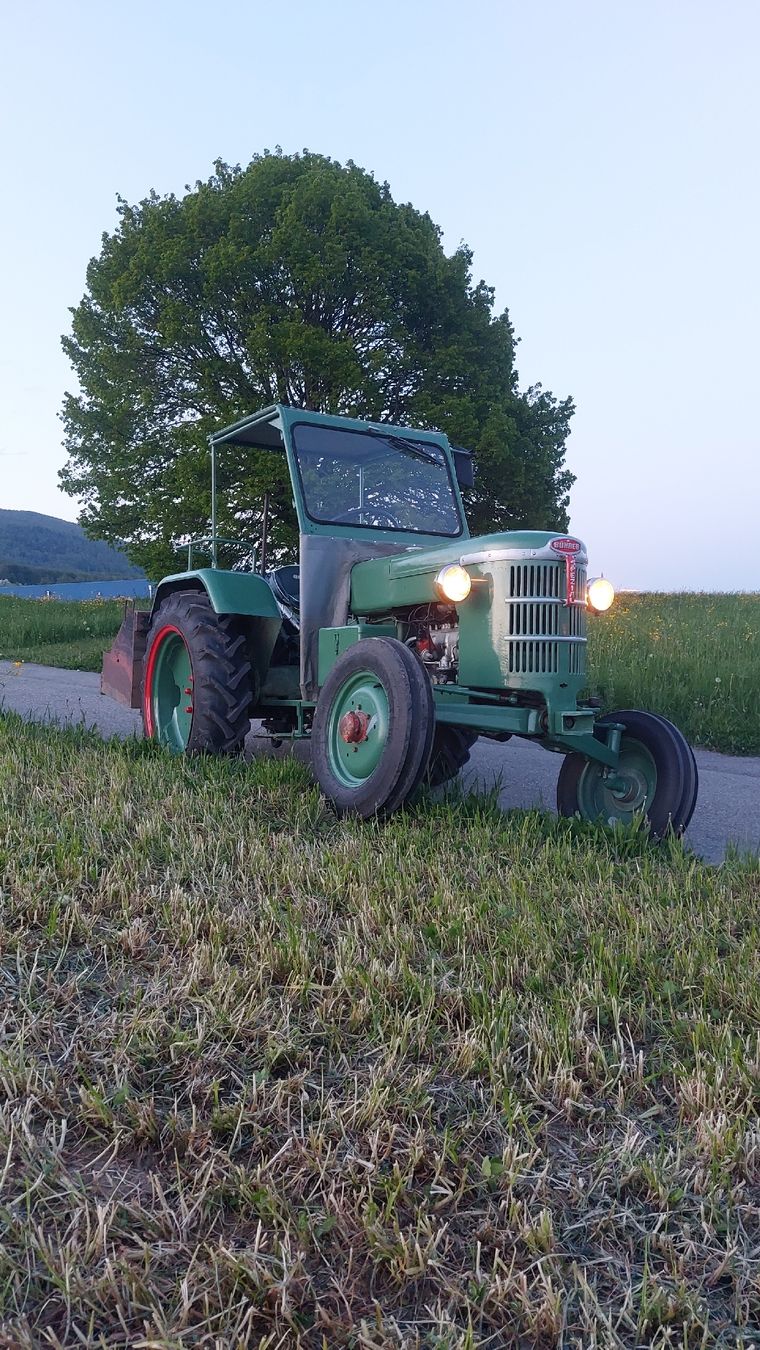 Bührer Trattori: Bührer Spezial – Usato da Wiedlisbach venduto da timber03 2