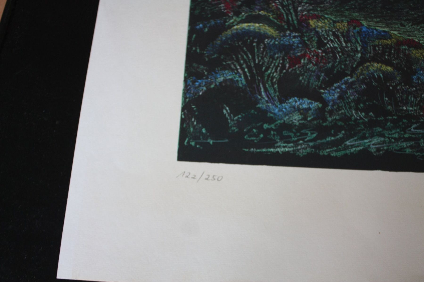 Grafica & Litografie: Farbe litografia von Ernst Fuchs – Usato da Altstätten SG venduto da sulim 5