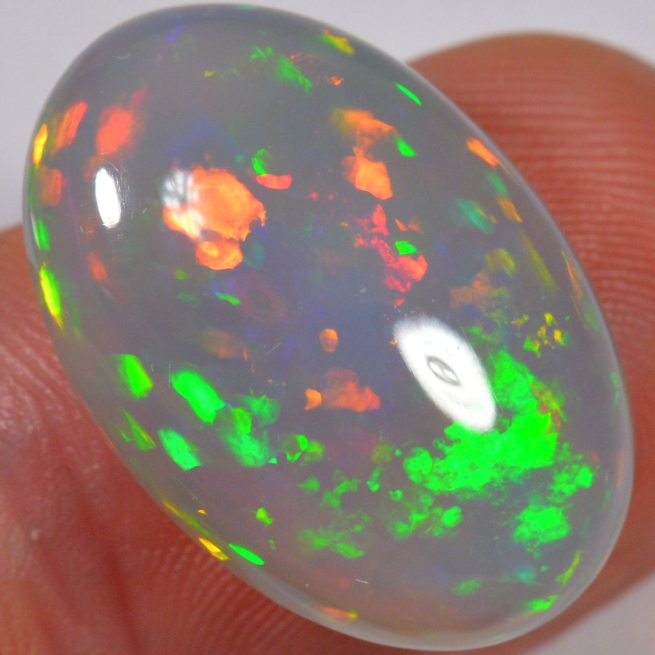 Edelsteine: 11.5 Karat - Ovaler Äthiopischer Welo Opal – Neu (gemäss Beschreibung) aus Rüti ZH von DeinOpal 8