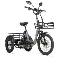 AG1 PRO E-Bike Dreirad für Erwachsene