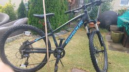 Kinderfahrrad