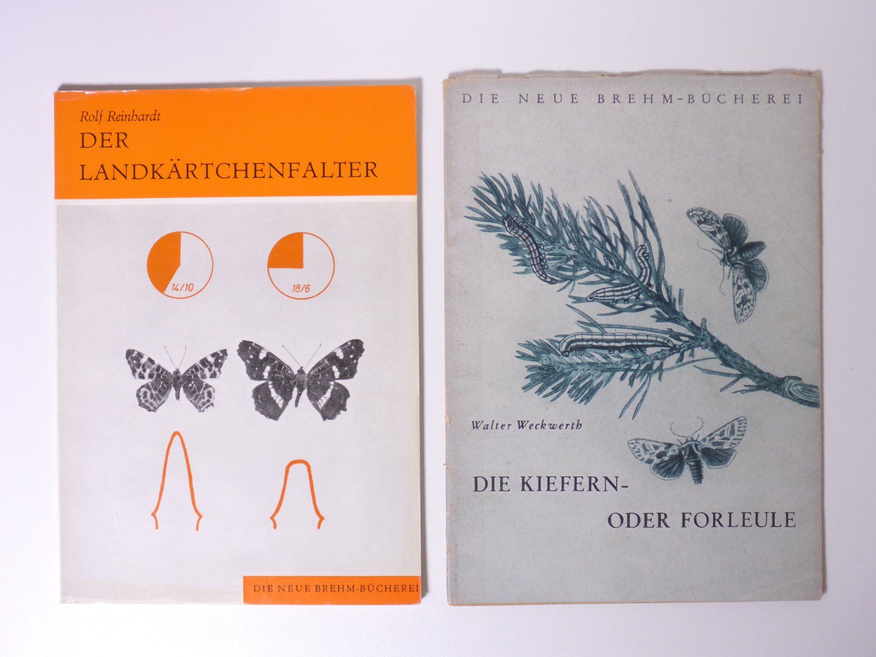 Livres: Konvolut. Schmetterlinge 9 Titel – D'occasion à Erschwil par taglang 1