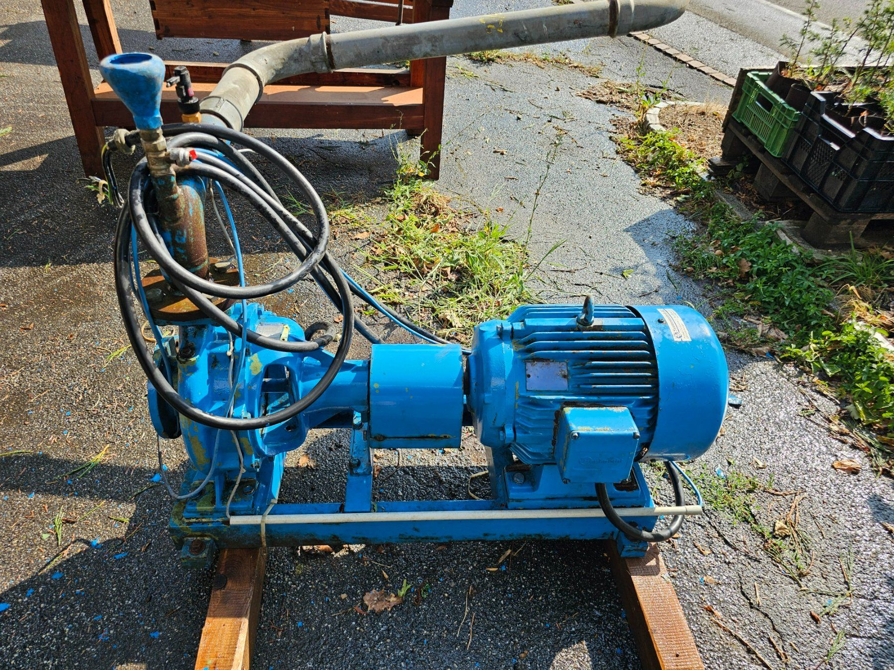 Pompe & Parti di ricambio: Wasserpumpe mit Schaltkasten – Usato da Aarburg venduto da Joerg.Andre