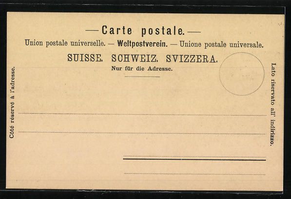 Cartoline postali: Litho Schaffhausen, Ortsansicht mit Tür – Usato da Berlin venduto da bartko-reher 1