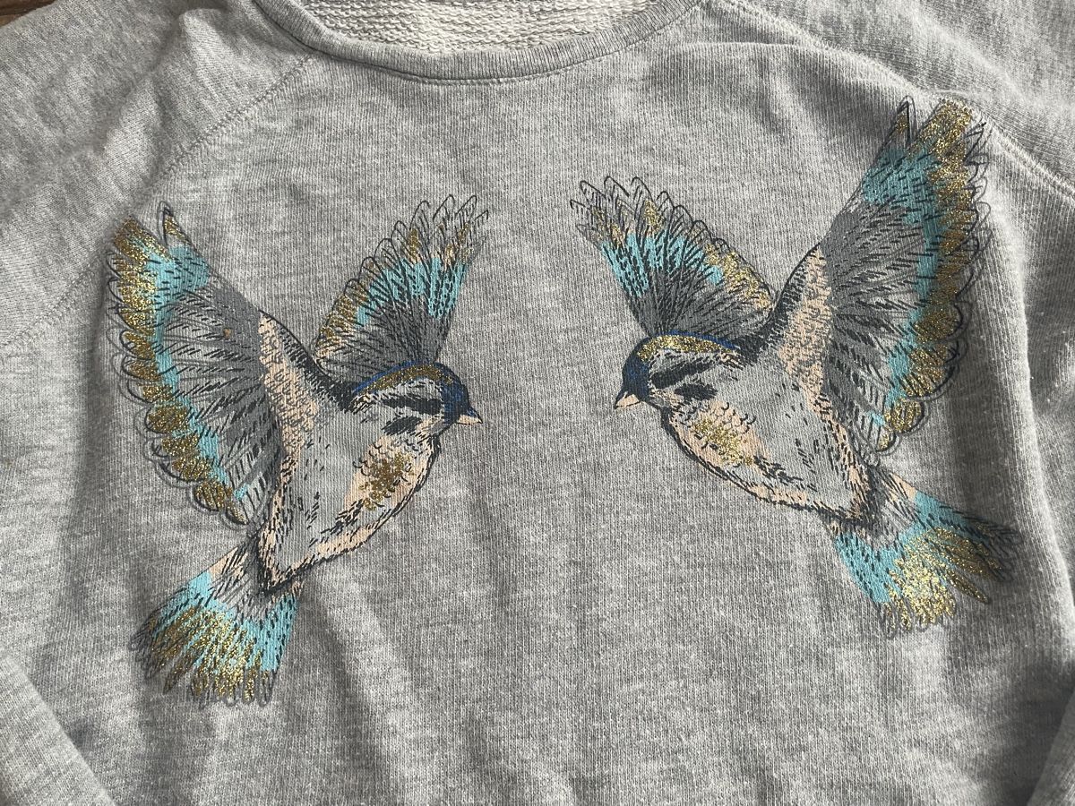 Pullover & Sweatshirts: Sweatshirt mit Vogelprint 152/158 – Gebraucht aus Bern von brup 1
