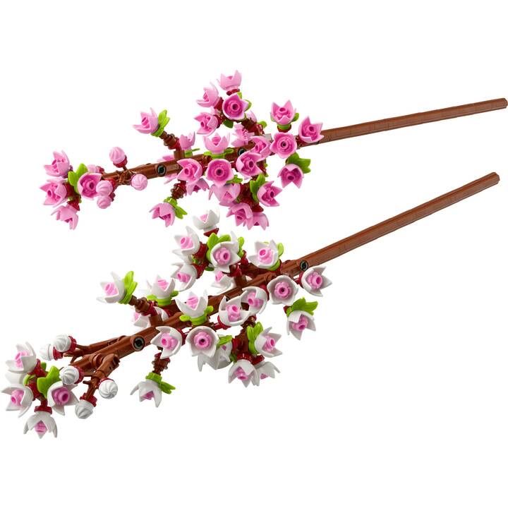 Lego Baukästen: LEGO Botanicals Kirschblüten – Gebraucht aus Uster von g21_d9lv 1