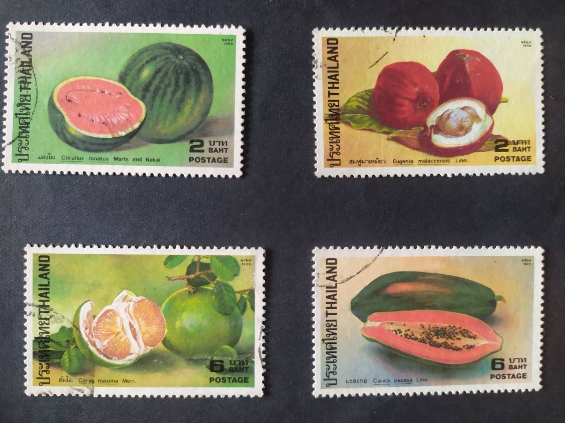 Tutti i francobolli: Thailand - Fruechte 1986 – Usato da Villars-sur-Glâne venduto da MiguelDelgado