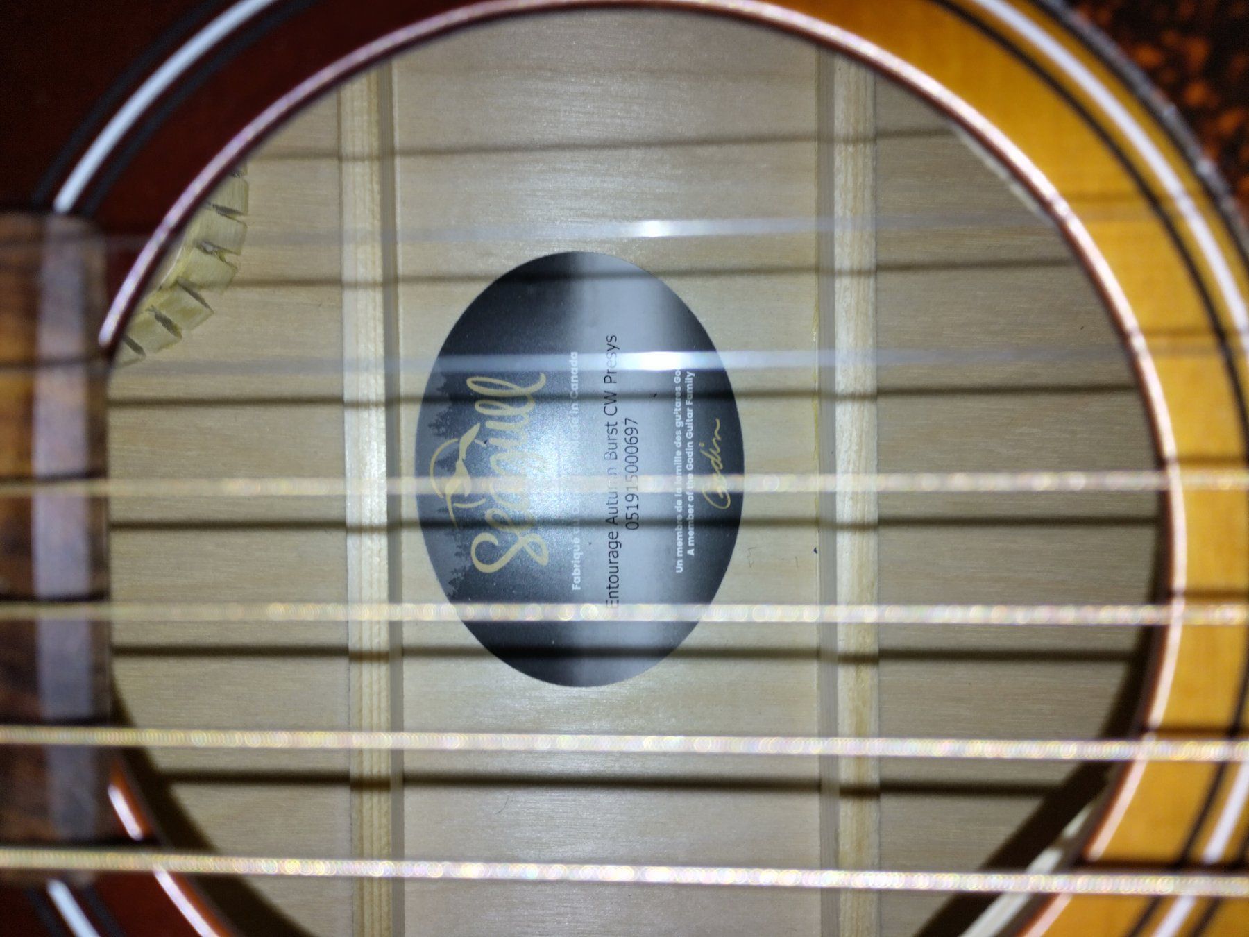 Seagull Strumenti musicali: Seagull Entourage Cutaway Presys 2 – Usato da Basel venduto da kea_9jr9 3