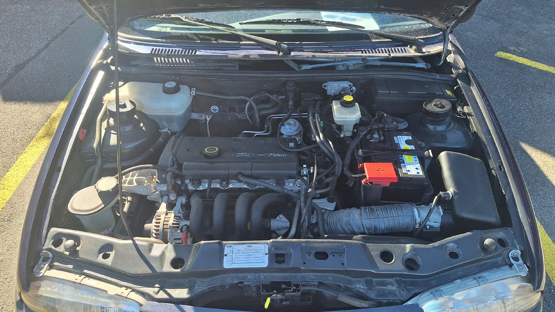 Ford Automobili: Ford Fiesta 1.2 – Usato da Rothrist venduto da Stoki77 7