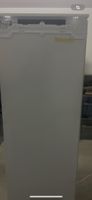 Electrolux Kühlschrank