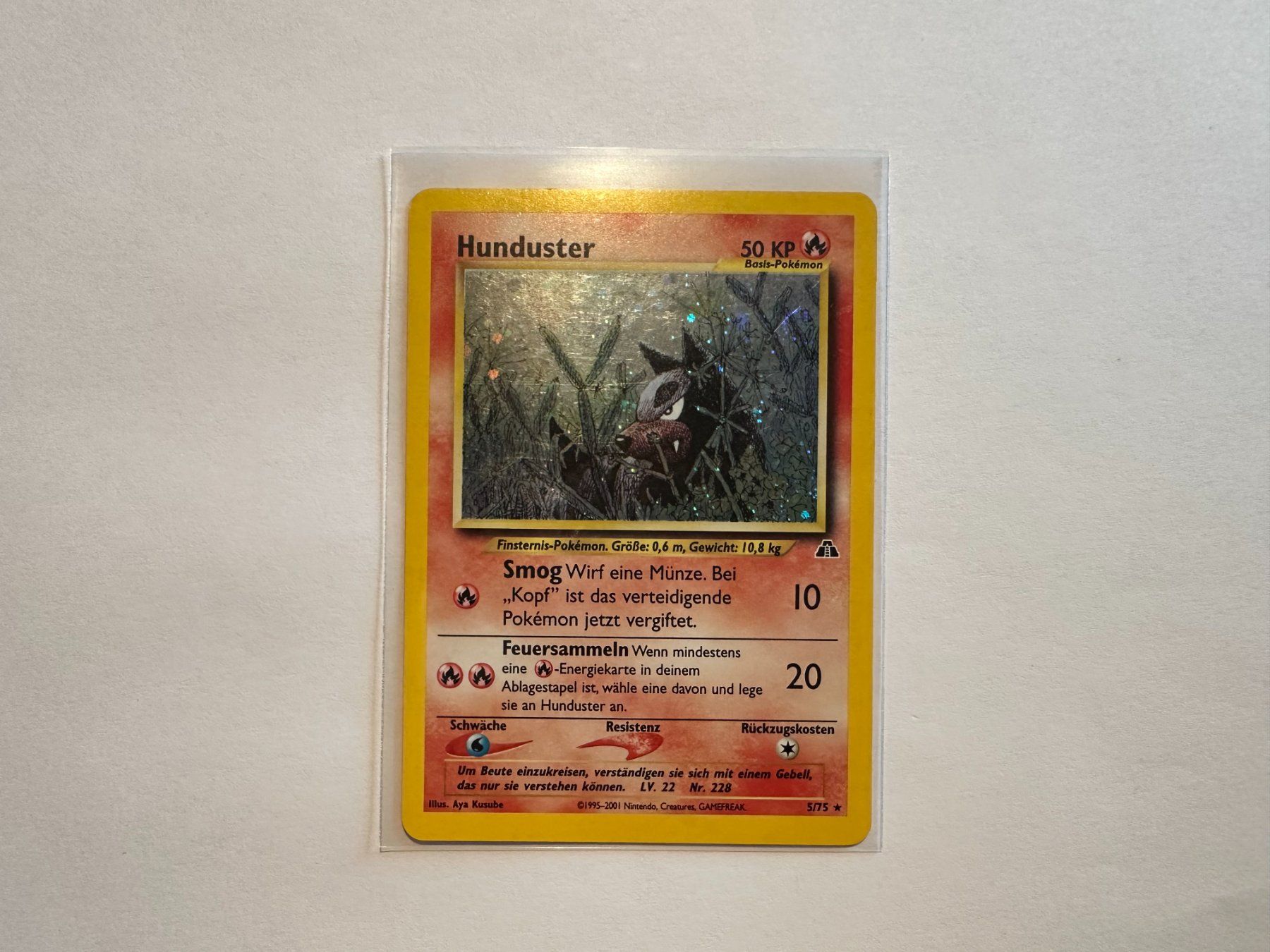 Pokémon Carte collezionabili: Hunduster holo Neo Entdeckung DE – Usato da Hagendorn venduto da Pokecollectorch