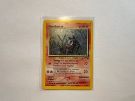 Hunduster holo Neo Entdeckung DE
