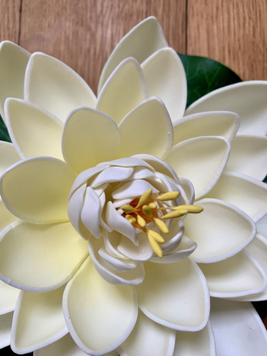 Tutte le decorazioni: Schwimmende Deko-Seerose – Nuovo (secondo la descrizione) da Zürich venduto da my_butterbrot 3