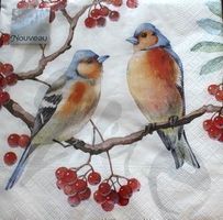 Serviette chaffinces (1043) 2Stk.