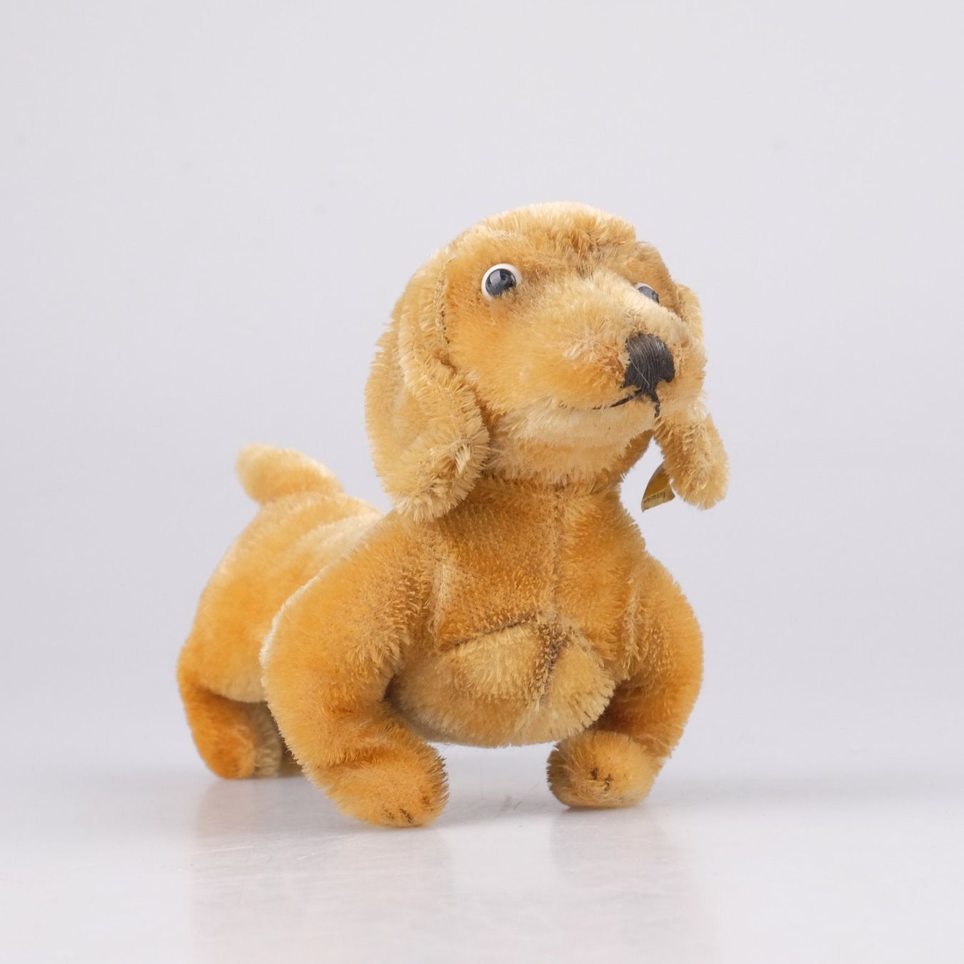 Steiff Spielzeuge: Steiff Dackel Hexie 1313.00 – Gebraucht aus Volketswil von brockipfannenstil
