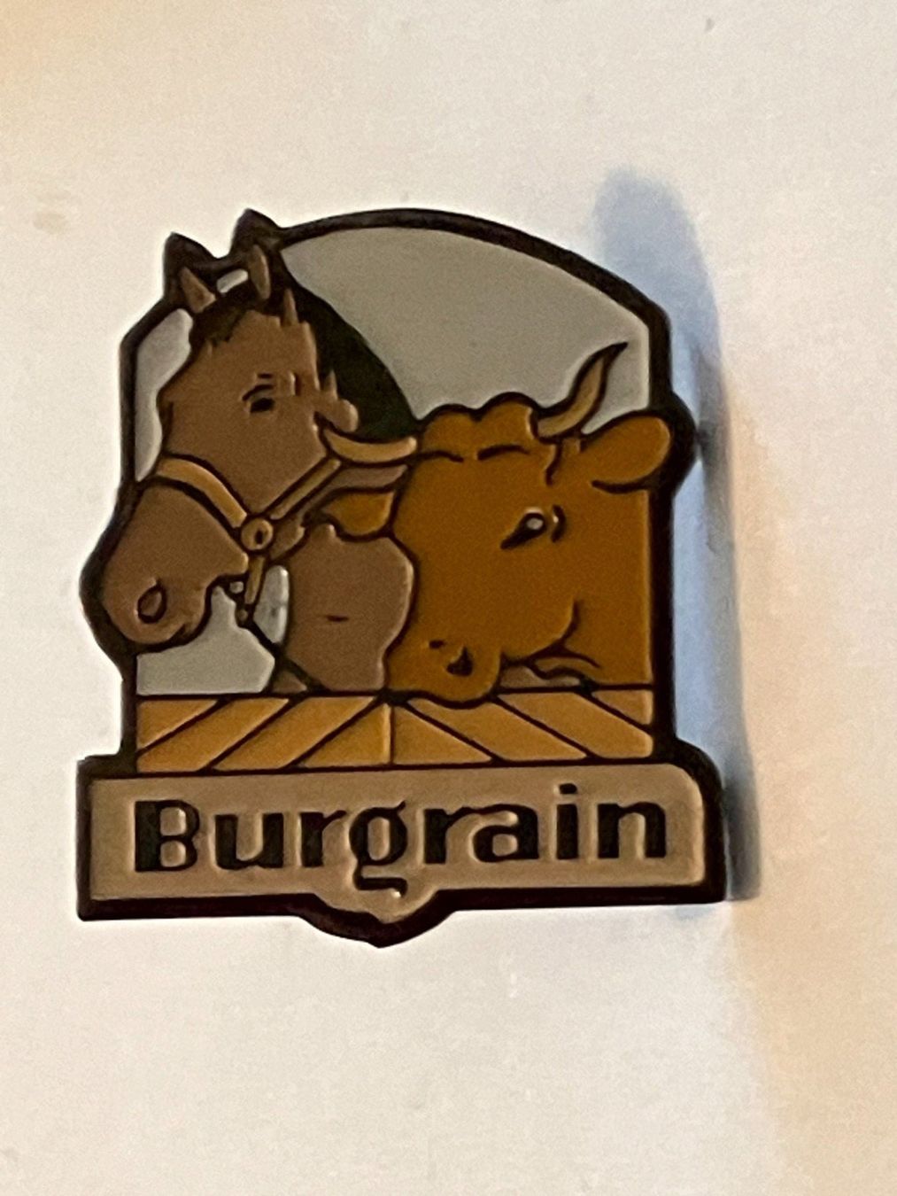 Plaketten & Abzeichen: 1 Pin Burgrain – Gebraucht aus Basel von djwwpp
