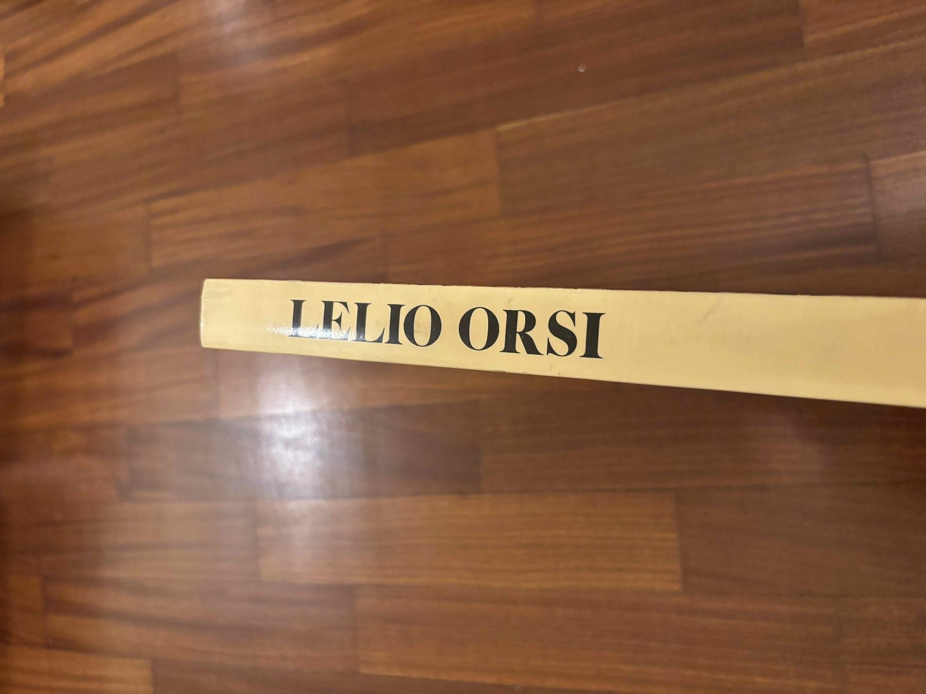 Bücher: Lelio Orsi – Gebraucht aus Lugano von Mark_Young 1