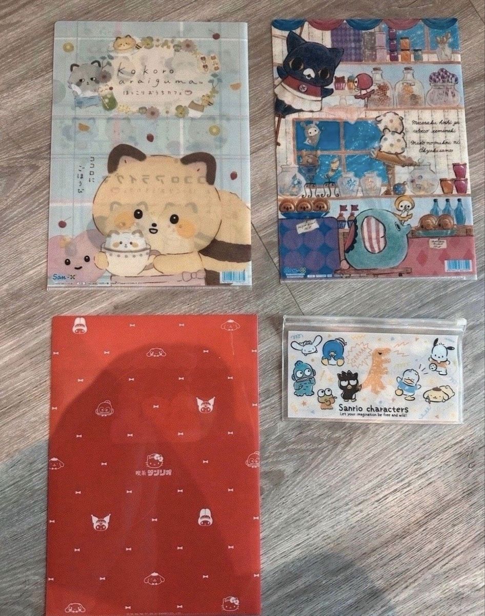 Mappen & Hüllen: Sanrio Klarsichtfolie – Gebraucht aus Balgach von ren_xy57 1