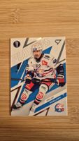 Sportzoo Playoffs 2026 ZSC Lions Denis Malgin