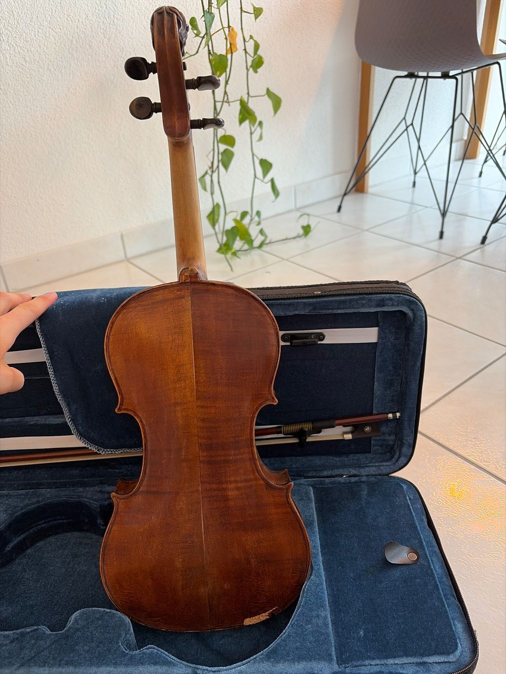 Instruments de musique: alte Geige mit Löwenkopf – D'occasion à Zürich par fabsito 2