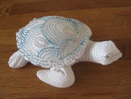 Schöne WASSERSCHILDKRÖTE mit Muster