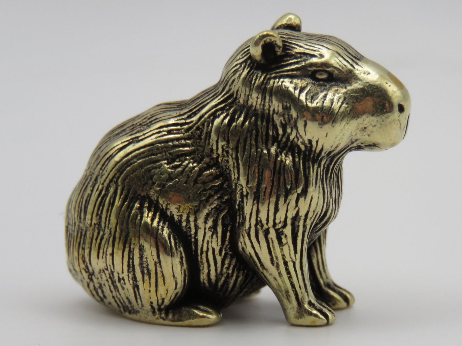 Statuette: CAPYBARA -  Messing Figur - klein aber fein - 2,5x2cm – Nuovo (secondo la descrizione) da Grenchen venduto da Yamahwildstar16 1