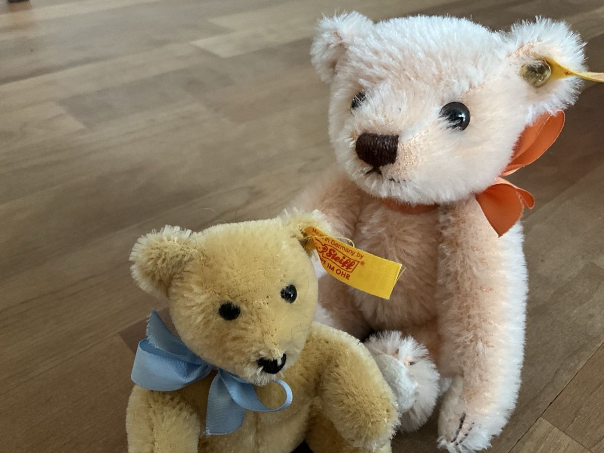 Steiff Giocattoli: 2 Steiff Teddybären – Nuovo (secondo la descrizione) da Schmitten FR venduto da Chili58 1