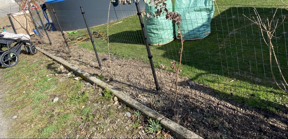 Fendivista: Gartenhag Schweissgitter – Usato da Sarnen venduto da sches15 1