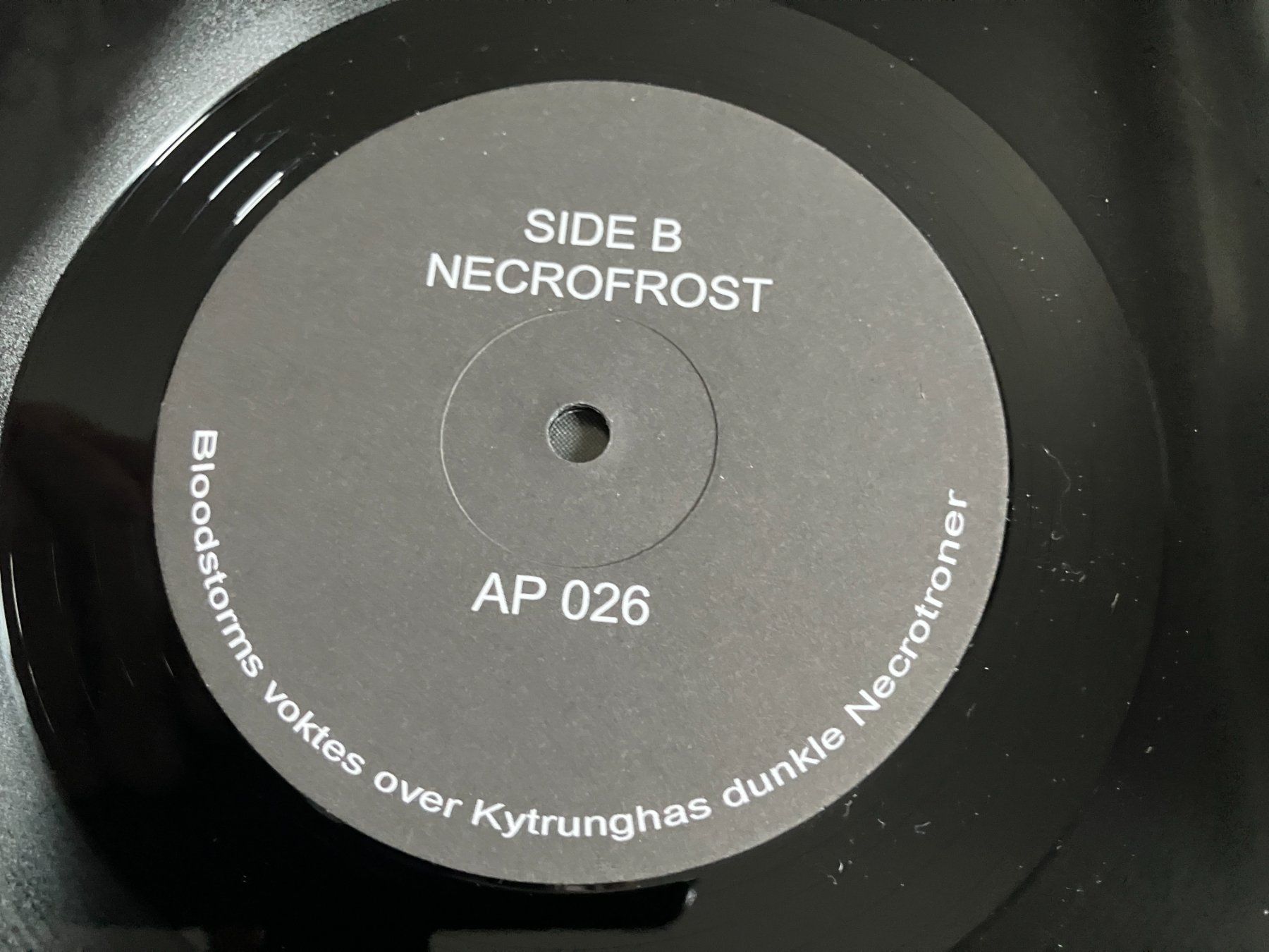 Dischi in vinile: Necrofrost – Usato da Aarwangen venduto da Jukebox3 9