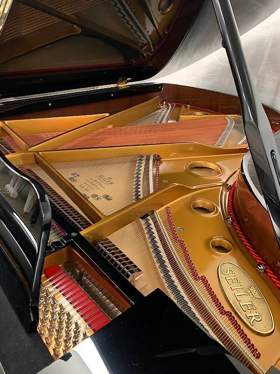 Strumenti musicali: Neuer Seiler Flügel – Nuovo (secondo la descrizione) da Niederhasli venduto da Musikhaus-Ammann 3