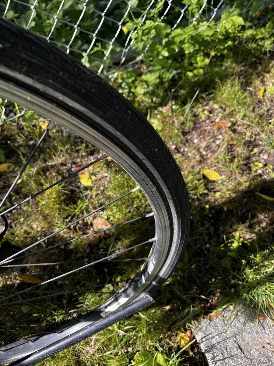 Wheeler Biciclette: Wheeler Cross Velo – Usato da Wallisellen venduto da maxiking.21 4