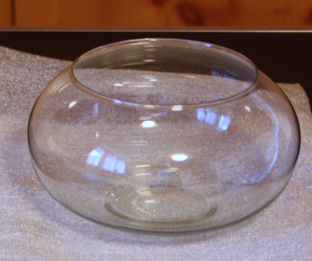 Bicchieri: Aquarium Kaktusglas Dekoration – Usato da Flüelen venduto da Diversicum-Shop