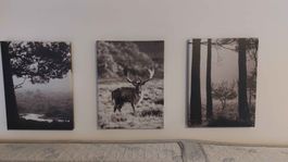 Lot de 10 tableaux décoratifs – Impressions sur toile – Tons