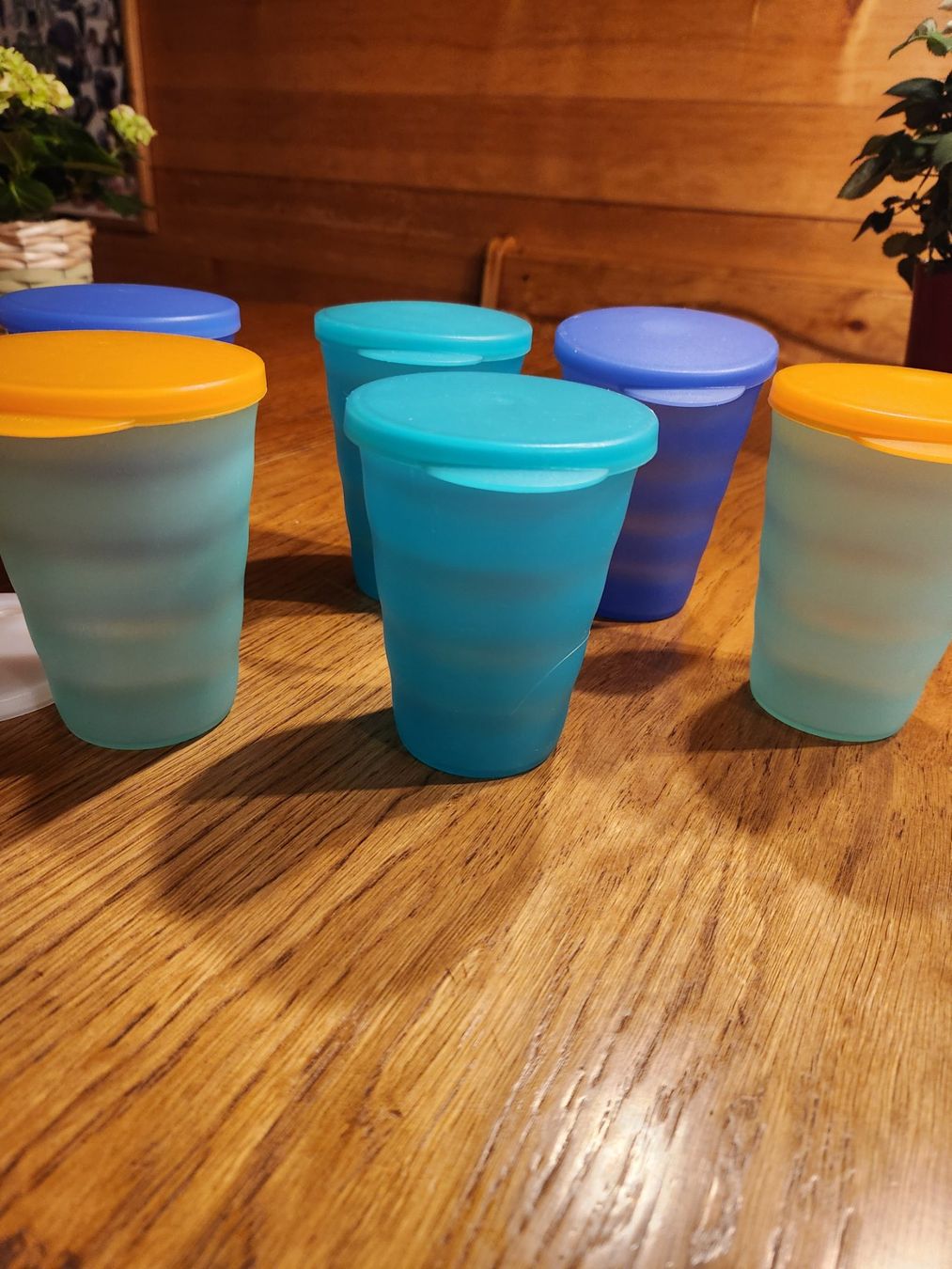 Tupperware Contenitori & Simili: Tupperware Becher 6 Stk. -mit 7 Deckeln – Usato da Gstaad venduto da Meiel2020 6