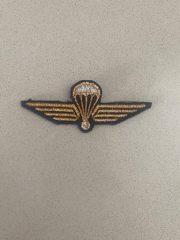 Placchette & Badge: Abzeichen Fallschirm Schweizer Militär – Usato da Winterthur venduto da Etimax 1