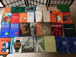 Lot de livres scolaires anciens - grammaire et plus!