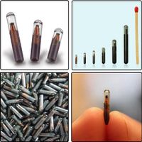40 x RFID Chip für Implantierung