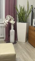 Top.  Angebot grünen Pflanze mit Topf  plus Vase mit Inhalt