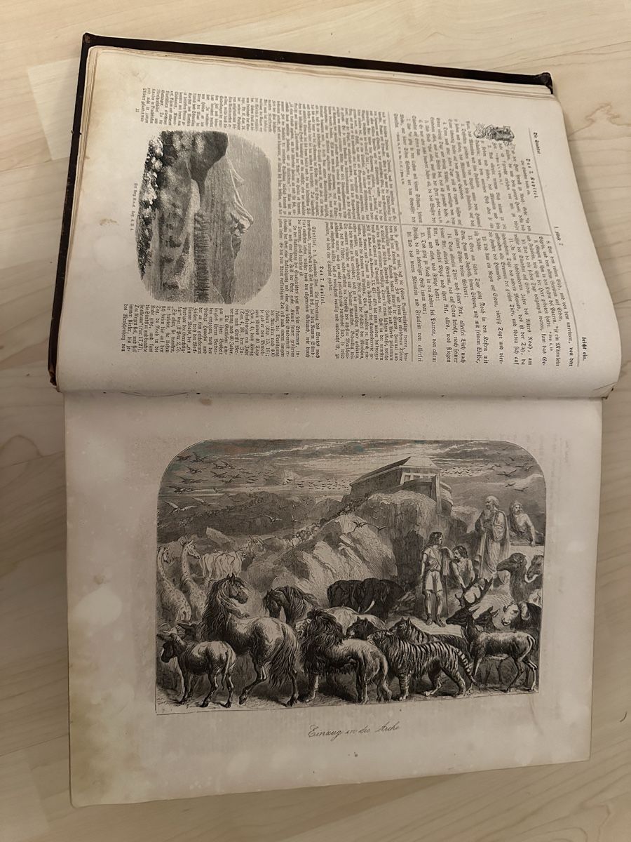 Libri: Alte Testament. Biblische Geschichte. – Usato da Schöfflisdorf venduto da Katrins02 6