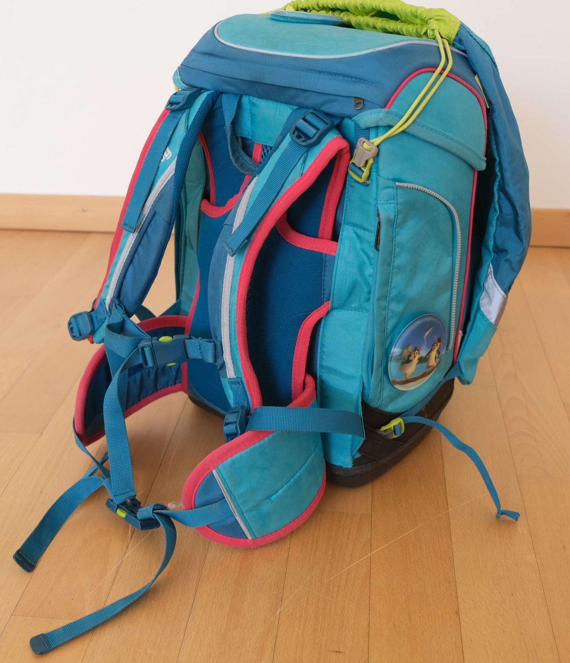 Ergobag Borse & Zaini: Ergobag Schulrucksack mit Turnbeutel und Etui – Usato da Stäfa venduto da cka_5r5z 6