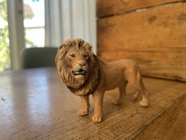 Schleich Löwe