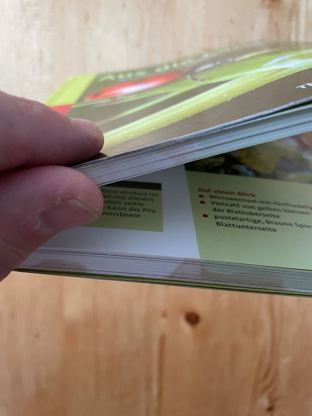 Libri: Pflanzenschutz  Nutzgarten - Aus die Laus – Usato da Sent venduto da ManuelB07 5