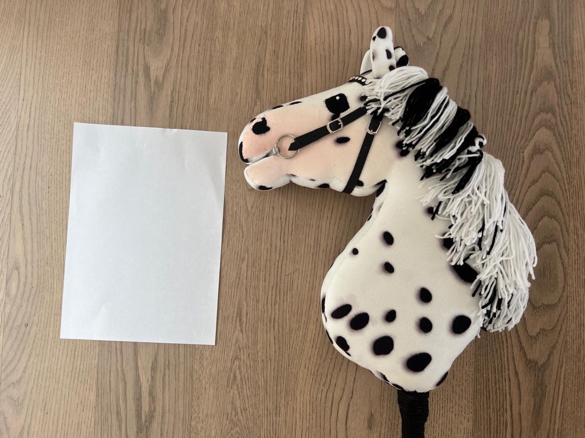 Giocattoli: Hobbyhorse Fabio - top Zustand – Usato da Muttenz venduto da steve0074 2