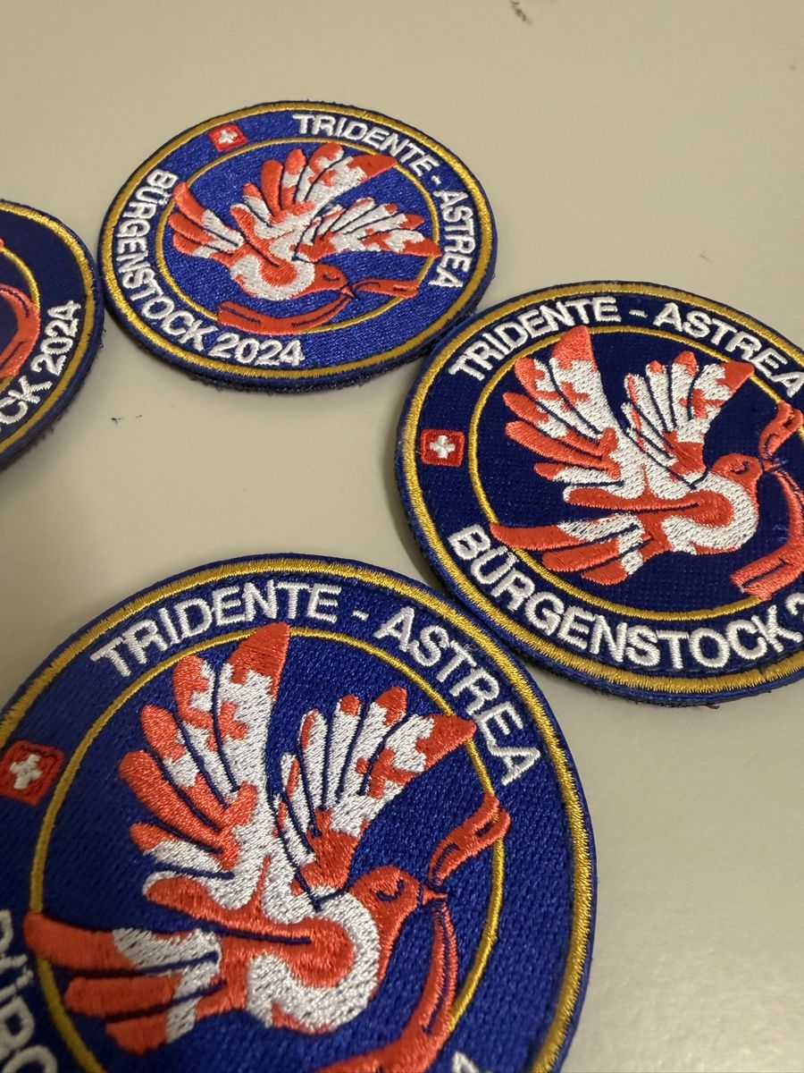 Armée suisse Plaquettes & Badges: Militär Badje sammerstücke  – Neuf (Voir description) à Zürich par papaplatte 4