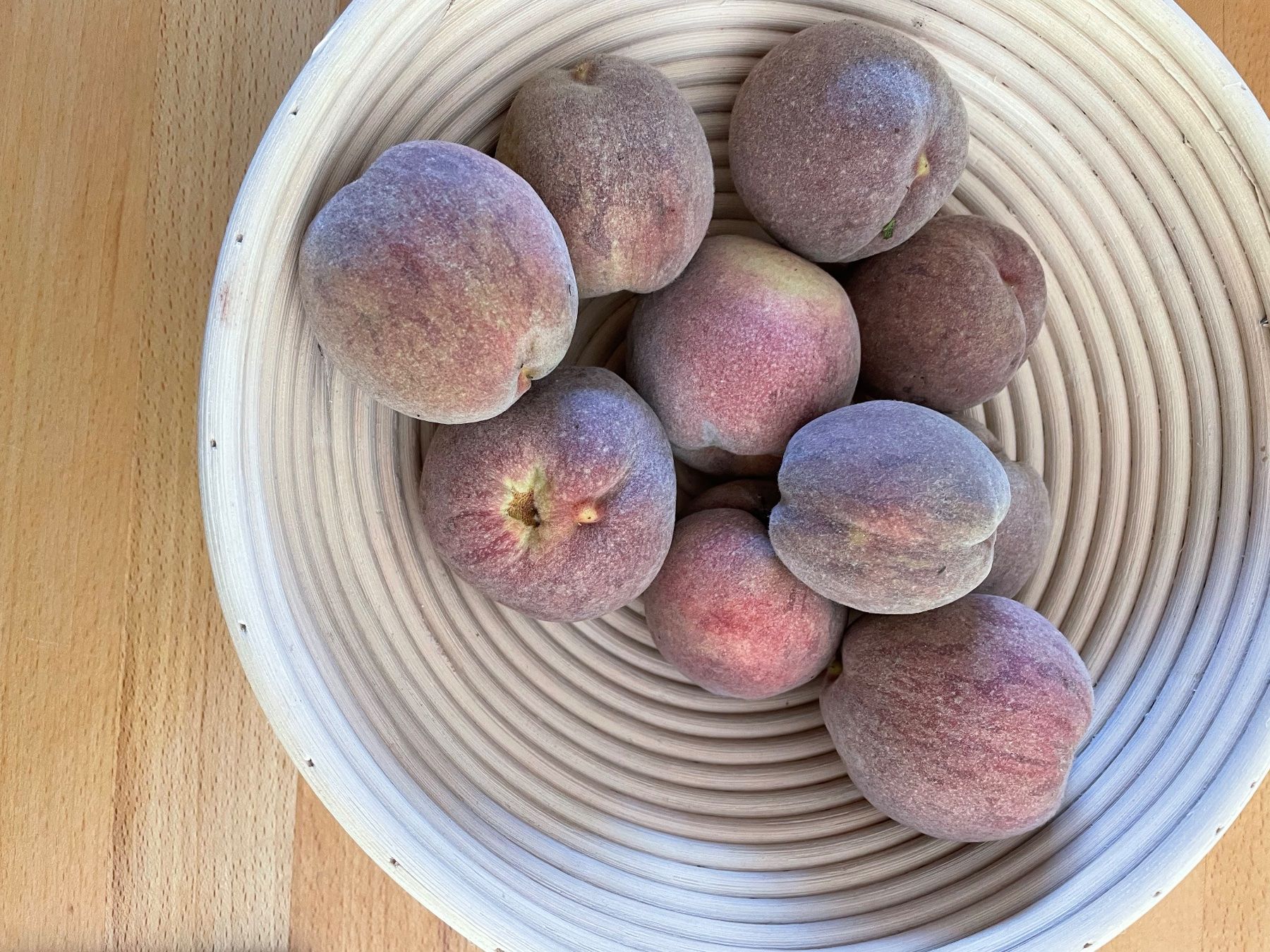 Piante & sementi: junger Pfirsich Baum (Weinbergpfirsich) – Nuovo (secondo la descrizione) da Pfäffikon ZH venduto da Futo 1
